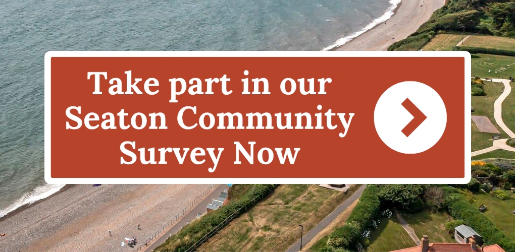 Community Survey